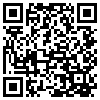 QR Code Handyversion