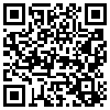 QR Code Handyversion