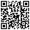 QR Code Handyversion