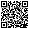 QR Code Handyversion