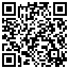 QR Code Handyversion