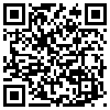 QR Code Handyversion