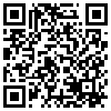 QR Code Handyversion