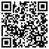 QR Code Handyversion