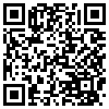 QR Code Handyversion