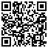 QR Code Handyversion