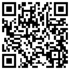 QR Code Handyversion