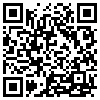 QR Code Handyversion