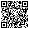 QR Code Handyversion