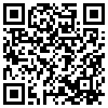 QR Code Handyversion