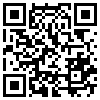 QR Code Handyversion