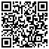 QR Code Handyversion