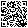 QR Code Handyversion