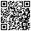 QR Code Handyversion