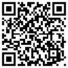 QR Code Handyversion