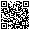 QR Code Handyversion