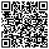 QR Code Handyversion