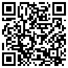 QR Code Handyversion