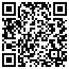 QR Code Handyversion