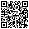 QR Code Handyversion