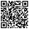 QR Code Handyversion