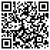 QR Code Handyversion