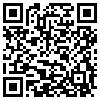 QR Code Handyversion