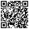 QR Code Handyversion