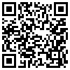 QR Code Handyversion