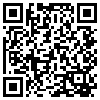 QR Code Handyversion