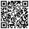 QR Code Handyversion