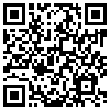 QR Code Handyversion