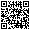 QR Code Handyversion