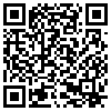 QR Code Handyversion