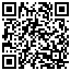 QR Code Handyversion