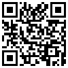QR Code Handyversion