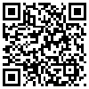 QR Code Handyversion