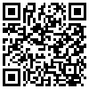 QR Code Handyversion