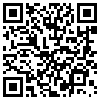 QR Code Handyversion