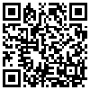 QR Code Handyversion