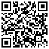 QR Code Handyversion