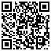 QR Code Handyversion