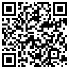 QR Code Handyversion