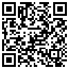 QR Code Handyversion