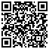 QR Code Handyversion