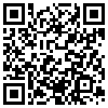 QR Code Handyversion