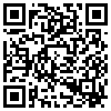 QR Code Handyversion