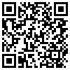 QR Code Handyversion