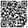 QR Code Handyversion