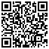 QR Code Handyversion